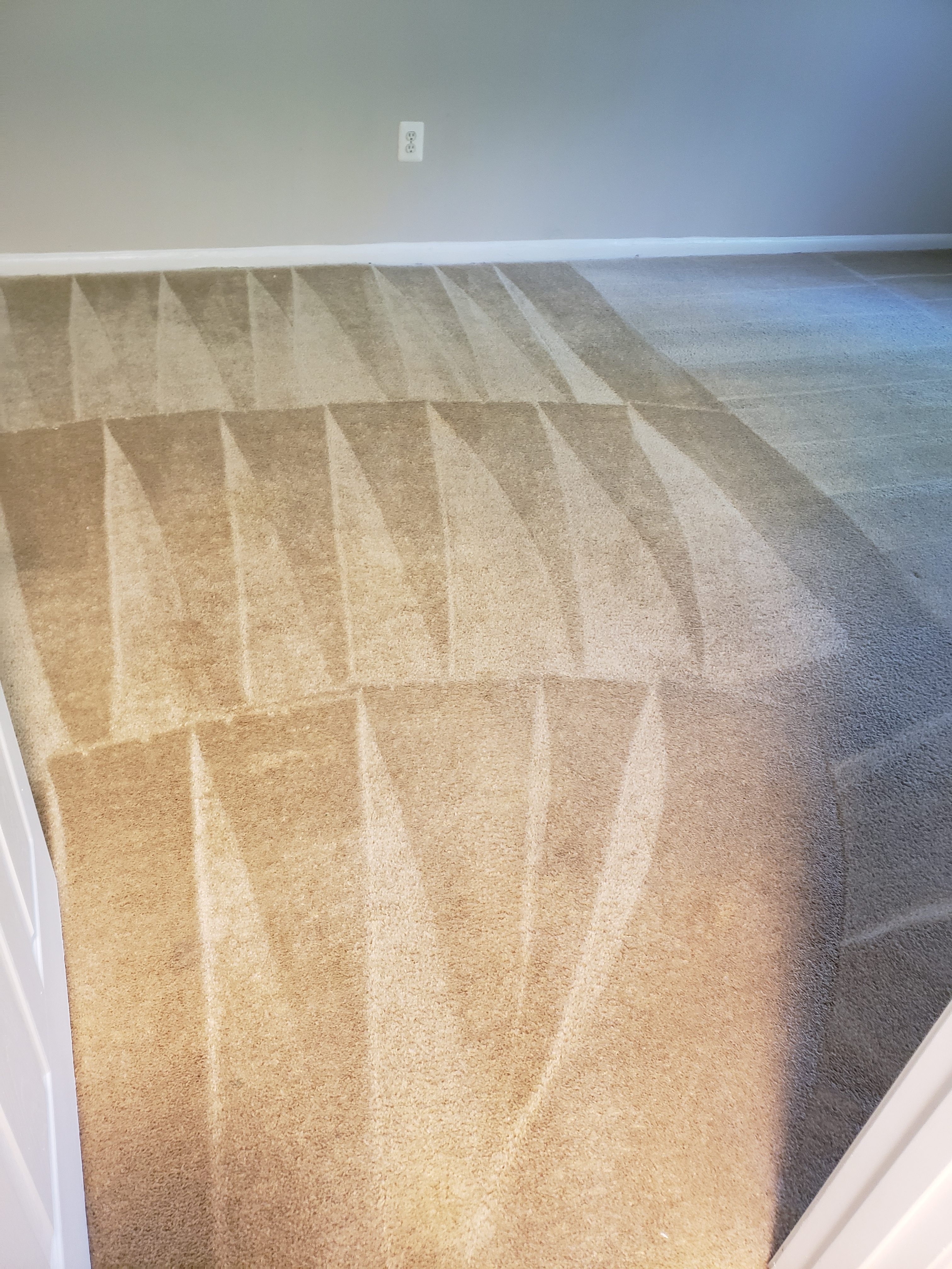 Carpet cleaning after