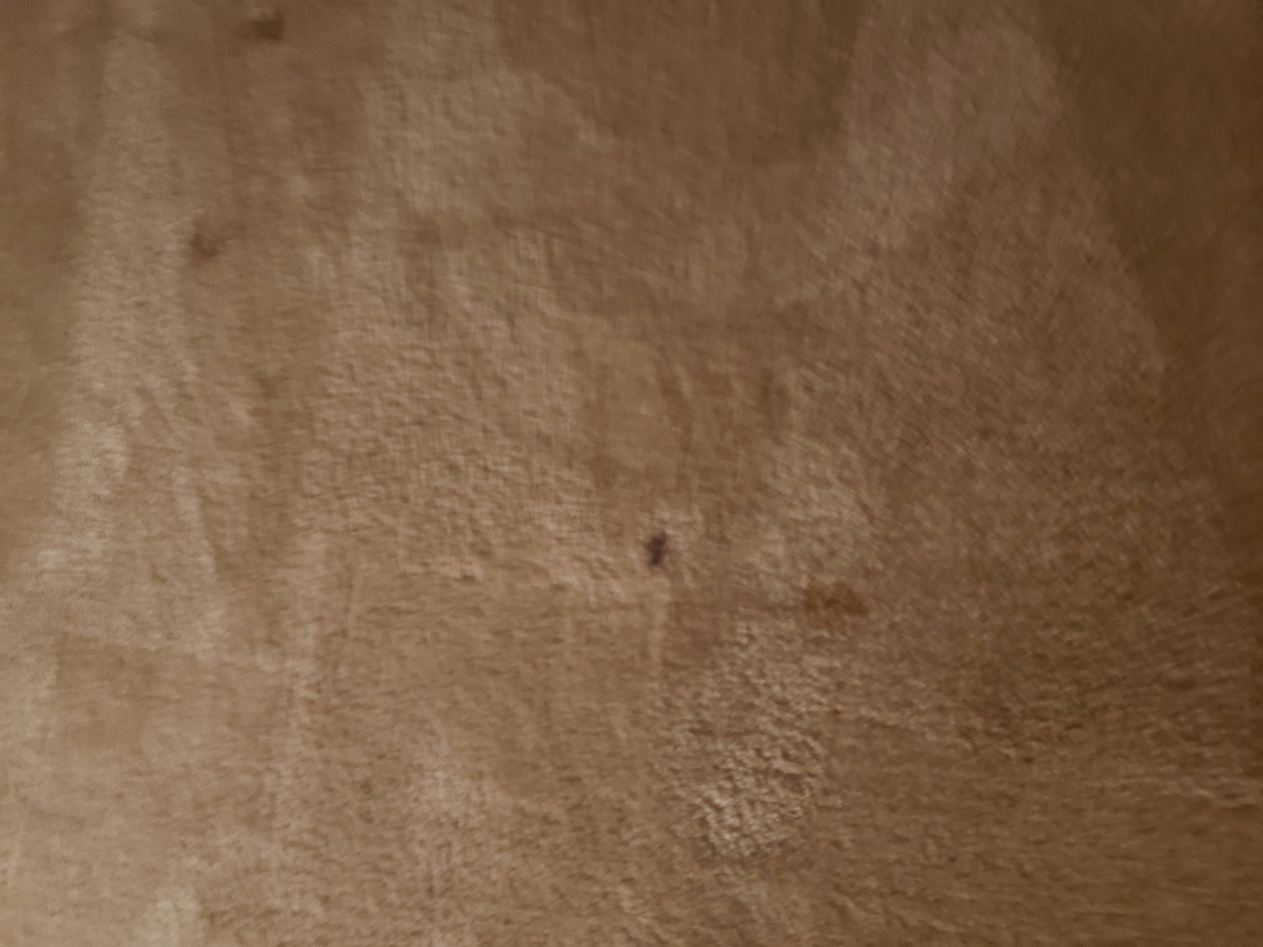 Floor cleaning before