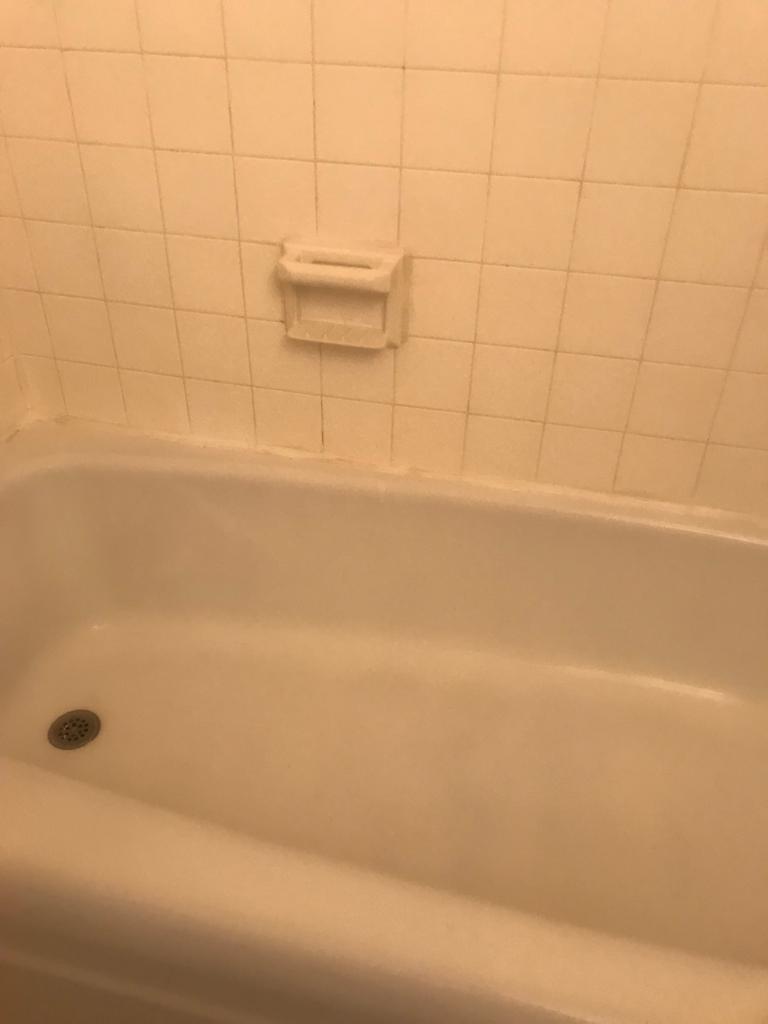 Toilet cleaning after