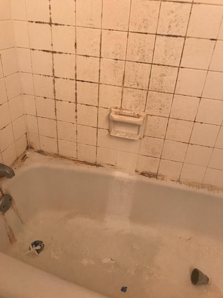 Toilet cleaning before