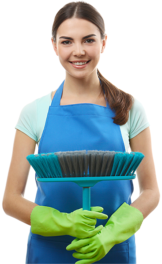 Cleaner with brush