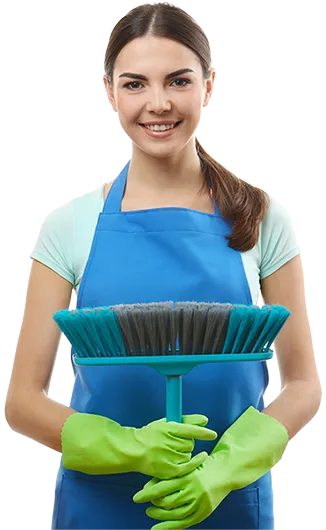 Cleaner with brush